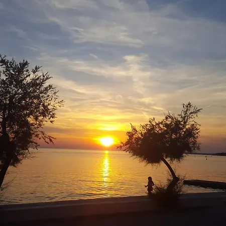 Gravic 2 * Zadar